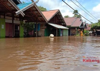 Tiga Hari Hujan, Puluhan Rumah di Desa Pantai Harapan Kotim Terendam Banjir