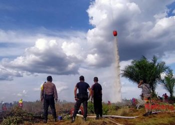 2 Hektar Lahan Gambut di Danau Rangas Palangkaraya Terbakar