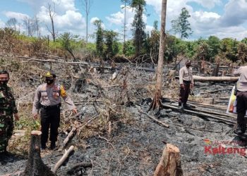 Bencana Karhutla Masih Berpotensi Tinggi di Mura