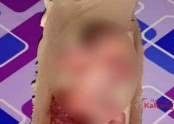 Teganya! Bayi Perempuan Dalam Kardus Ditemukan Warga Saat Hendak Sholat Subuh