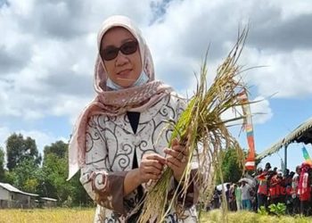 Bank Kalteng Dituntut Kembangkan Layanan Digital