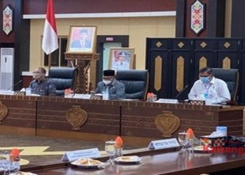 Wagub Kalteng Hadiri Sosialisasi Survey IP4T Program Food Estate