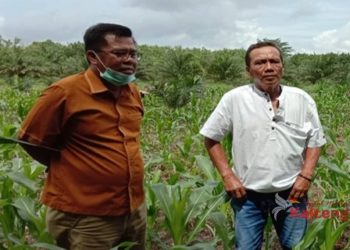 Program PSR Sangat Bagus Untuk Peningkatan Ekonomi