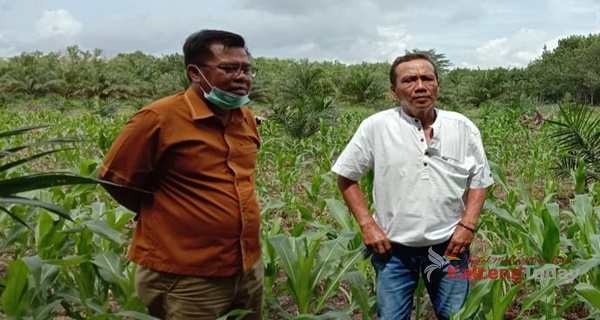 Program PSR Sangat Bagus Untuk Peningkatan Ekonomi