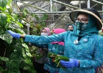 Ketua TP PKK Apresiasi Kelompok Wanita Menteng Permai