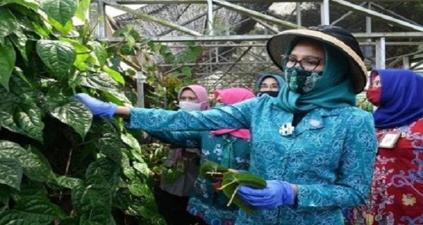 Ketua TP PKK Apresiasi Kelompok Wanita Menteng Permai