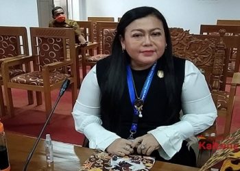 Legislator Ini Apresiasi PLTU Pulang Pisau
