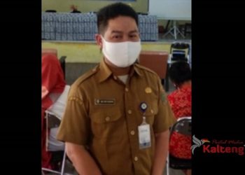 DP3AP2KB Pulang Pisau Tangani 10 Kasus Kekerasan Anak