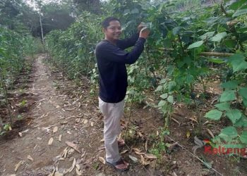 Manfaatkan Lahan Kosong, Guna Meningkatkan Ketahanan Pangan