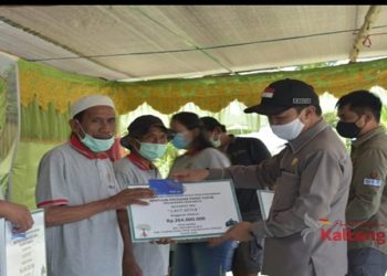 Sambut Baik Bantuan PKM dan Bibit Mangrove