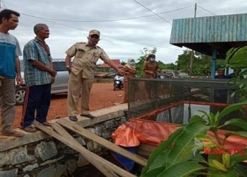 Bidang Perikanan Diharapkan Bisa Surplus