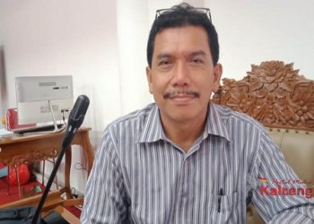 Program Food Estate Membawa Kemajuan Pembangunan Daerah