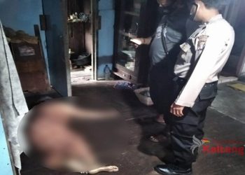 Kapolres Kotim : Pelaku Pembunuh Nenek Cahaya Berhasil Diringkus!