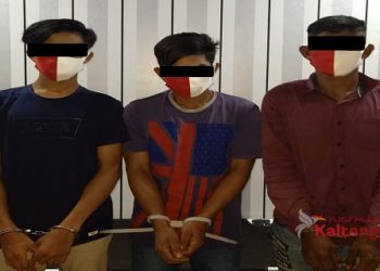 Akhirnya! Kawanan Maling Sarang Burung Walet di Barsel Tertangkap