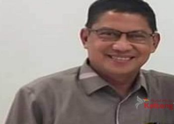 Produksi Pertanian Pulang Pisau Meningkat