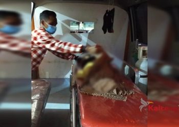 Asik Bersepeda, Bocah 6 Tahun di Kotim Tewas Tertabrak Mobil