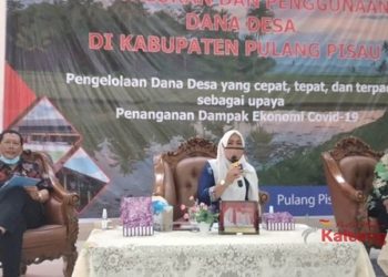 Kepala BPKP Kalteng Hadiri Workshop Evaluasi Dana Desa