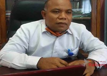 DKPP Seruyan Targetkan Musim Tanam Okmar Seluas 6.000 Hektar