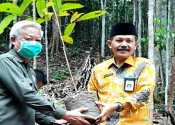 DLHK Lamandau Kunjungi Tahura Lapak Jaru Gumas