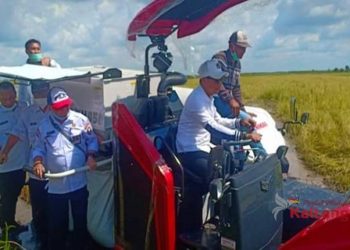 Pemkab Kotim Akan Tingkatkan Kualitas Padi