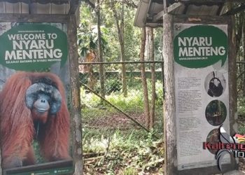 Objek Wisata Arboretum Nyaru Menteng dan Danau Tahai Sepi Pengunjung