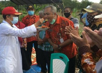 Kecamatan Seruyan Raya Terus Berbenah di Sektor Pertanian
