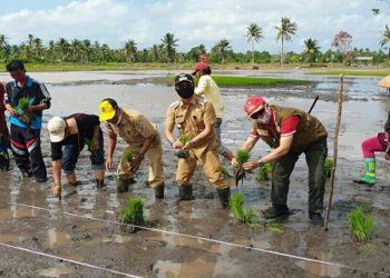 Pemkab Seruyan Tingkatkan Komitmen Wujudkan Swasembada Pangan