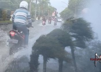 Warga Pulang Pisau Diminta Waspadai Banjir Dan Tanah Longsor