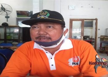 Pohon di Taman Kota Kuala Kapuas Perlu Peremajaan