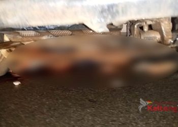 Tabrakan Truck CPO Dengan Motor, Pengendara Motor Tewas