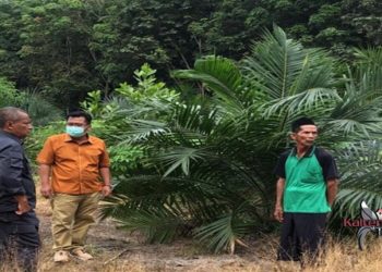 Petani Diajak Kelola Sektor Pertanian Dengan Baik