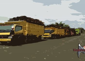 32 Perusahaan Kelapa Sawit di Kotim Sepakat Ikut Andil Bangun Jalan Antar Desa