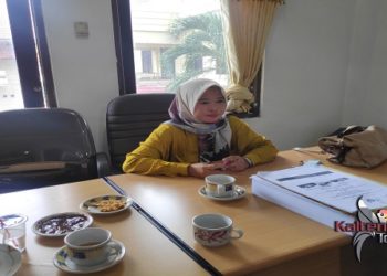 Legislator ini Minta Pemkab Barsel Antisipasi Kenaikan Harga Sembako