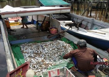 Masyarakat Seruyan Diminta Tingkatkan Konsumsi Ikan