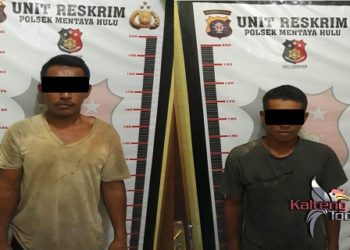 Curi 1,9 Ton Sawit Milik Perusahaan, 2 Pemuda Diciduk Polisi