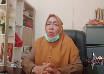Kepala DPMD Pulpis Ingatkan Kades Kelola DD Dengan Benar
