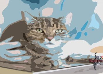 Kucing Peliharaan Warga Kapuas Banyak Terserang Panleukopenia