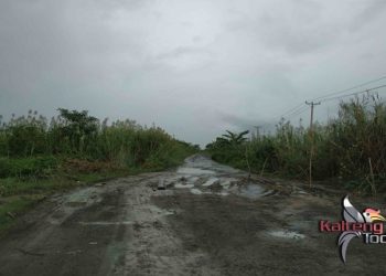 Akses Jalan Jadi Kendala Belum Maksimalnya Operasional Pelabuhan Segintung