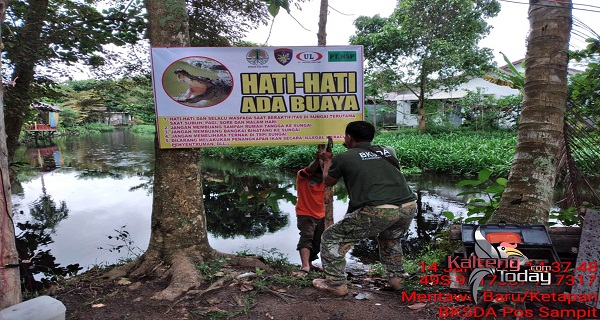 Buaya Muara di Kotim Semakin Ganas, 23 Papan Peringatan Dipasang