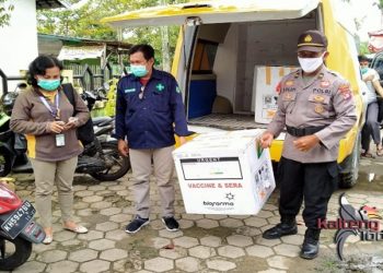 1.484 Vial Vaksin Covid-19 Mulai Didistribusikan Puskesmas di Kapuas