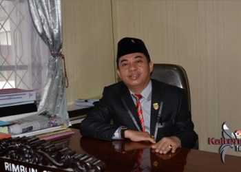 Ini Penyebab Minimnya Pemasukan Daerah Dari Perkebunan Sawit