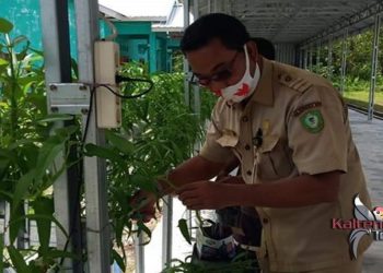 Dinas Perikanan : Ilegal Fishing di Kotim Masih Terjadi
