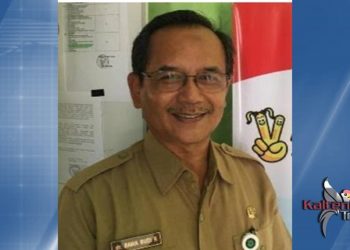 DP3AP2KB Pulpis Ajak SOPD Turunkan Stunting
