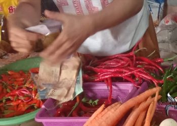 Harga Cabai Di Kota Palangka Raya Meningkat