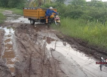Warga Keluhkan Kerusakan Di Jalan Kalibata I
