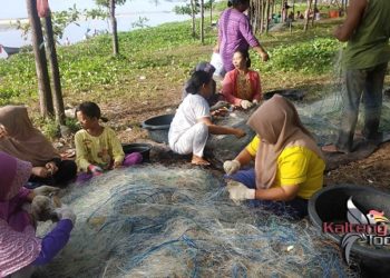 Dinas Perikanan Seruyan Upayakan Peningkatan Konsumsi Ikan