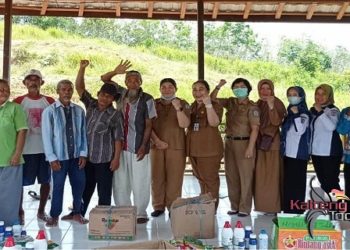 Distransnaker Mura Bina 7 Petani Trans Bahitom Bercocok Tanam