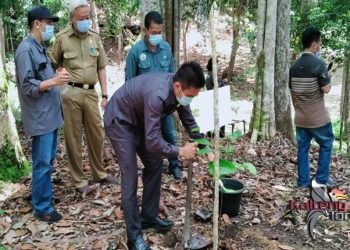Dewan Nilai Pengelolaan Tahura Gumas Sangat Baik