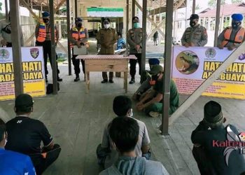 BKSDA Telusuri Keberadaan Buaya Panjang 4 Meter di Sungai Mentaya Kotim