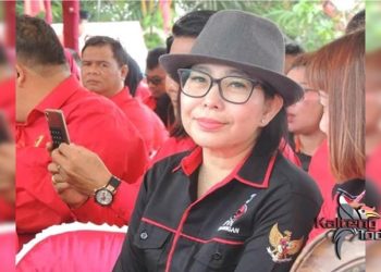 Masyarakat Diimbau Lapor BKSDA Bila Temui Penampakan Beruang Madu